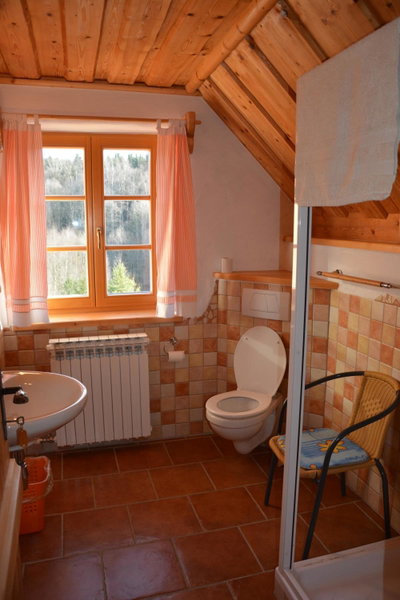 Chalupa Ambra, Prachatice, Czechia