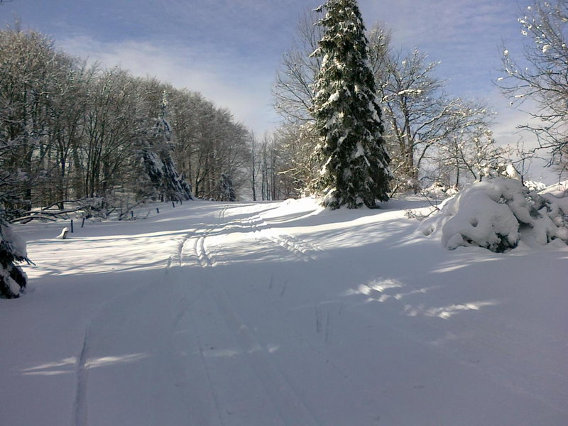 Apartmány Polevsko, Polevsko, Czechia