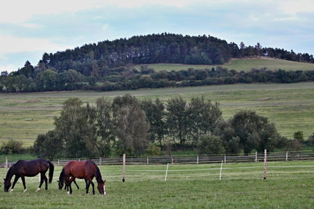 Pension Jezerná, Zduchovice, Czechia