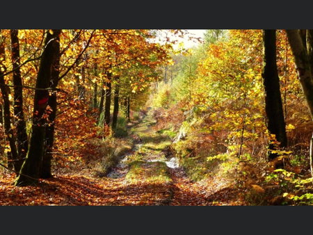 Enjoy Durbuy 3, Durbuy, Belgium