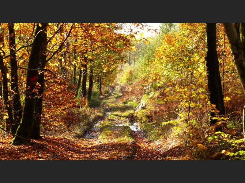 Enjoy Durbuy 3, Durbuy, Belgium