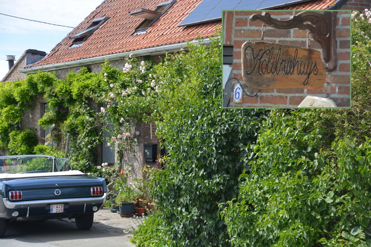 Hotel · Guesthouse Kolibriehuys, Nieuwkerke