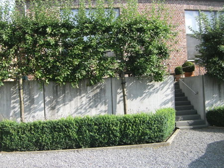 't Gillebroek, Borgloon, Belgium