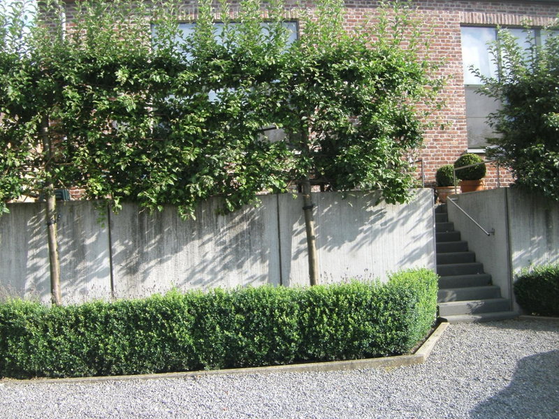 't Gillebroek, Borgloon, Belgium