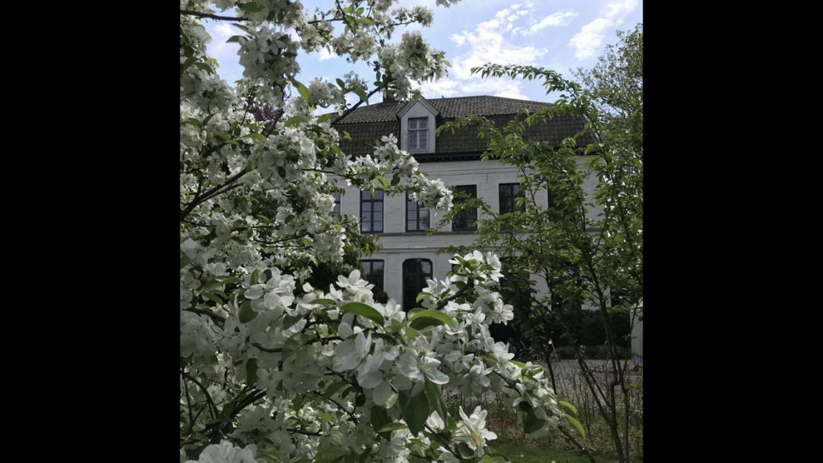 Hotel · Pastorie Caeneghem, Kanegem