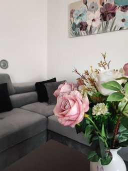 Apartment Eva, Pula, Croatia