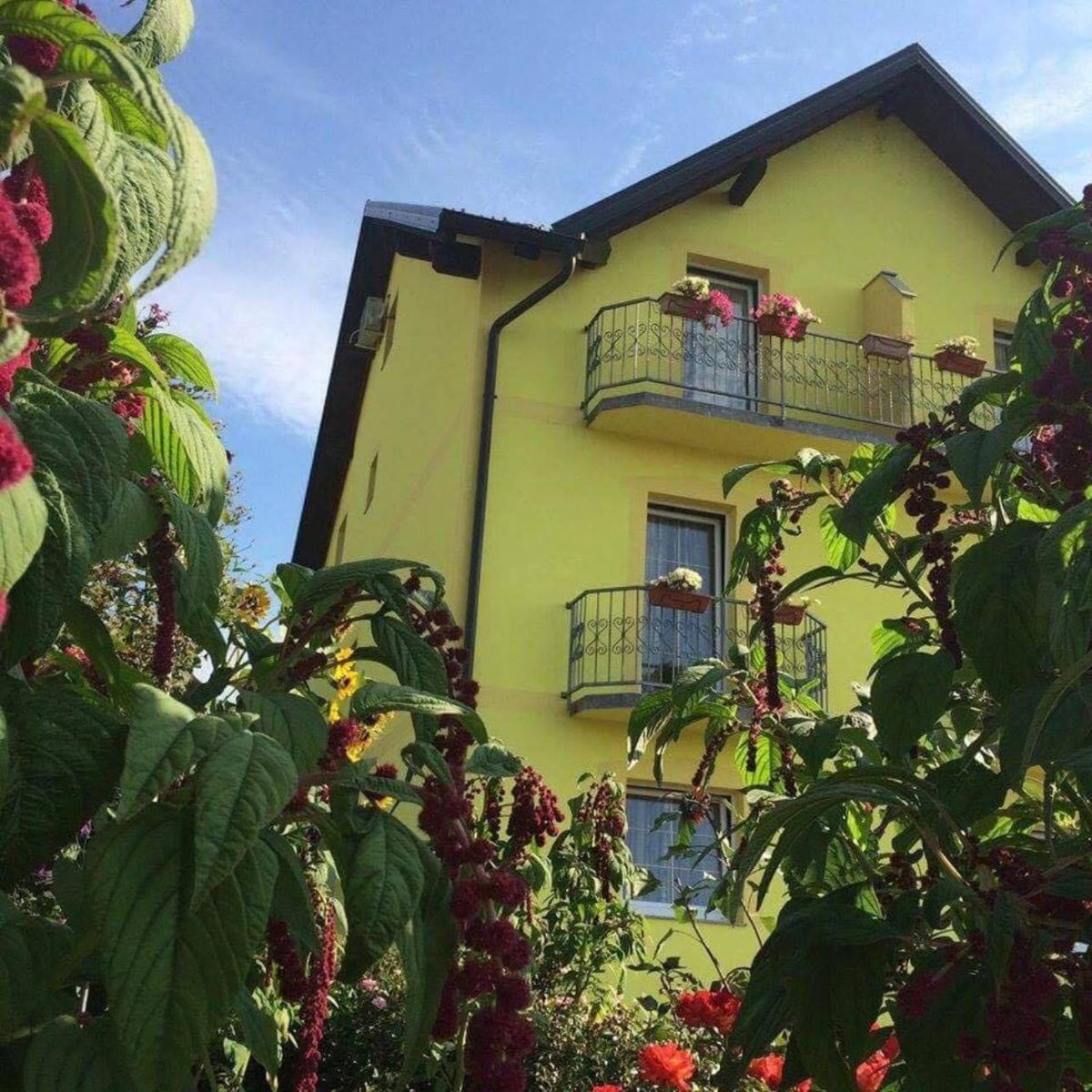 Hotel · Bed and Breakfast Albatros, Perušić