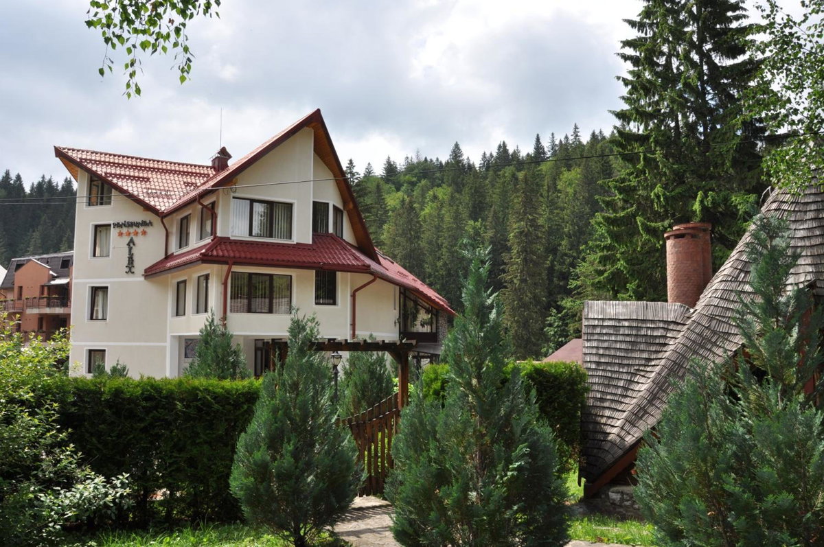 Pensiunea Sura Dacilor - Alex, Romania