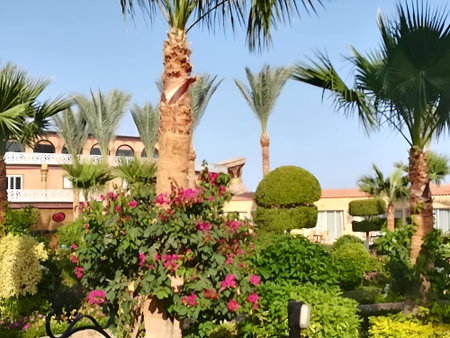 Hawaii Caesar Palace Hotel & Aqua Park - Families and Couples only, Hurghada, Egypt