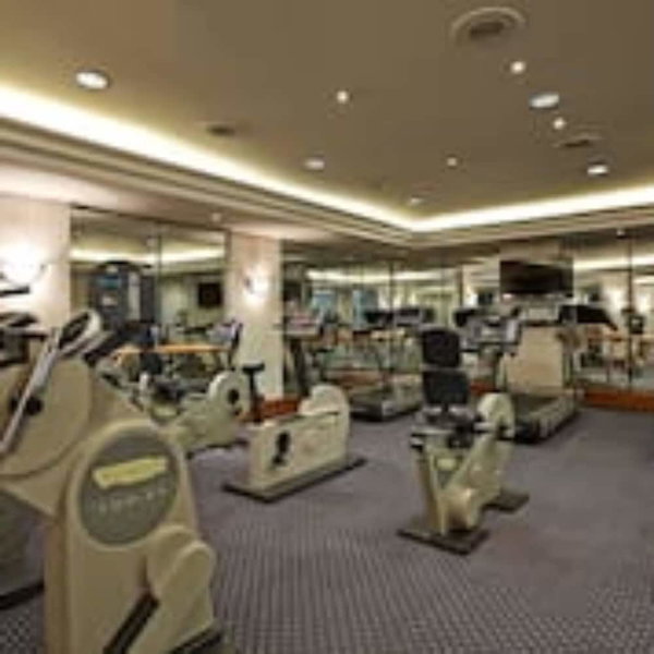 Conrad Cairo,twin Classic Room, Partial Nile View, Cairo, Egypt