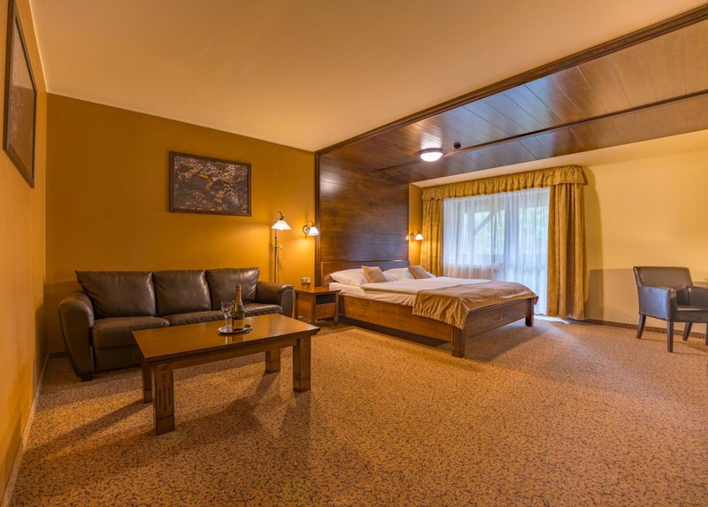 APLEND Wellness Hotel Borovica, Vysoke Tatry - Strbske Pleso, Slovakia