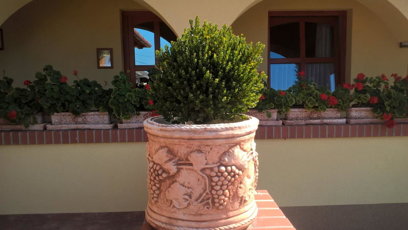 Vitis Vendégház, Becsehely, Hungary