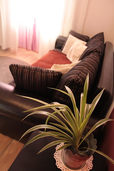 Yasmine Flat, Budapest, Hungary