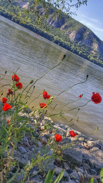 Gardenia Apartman, Esztergom, Hungary