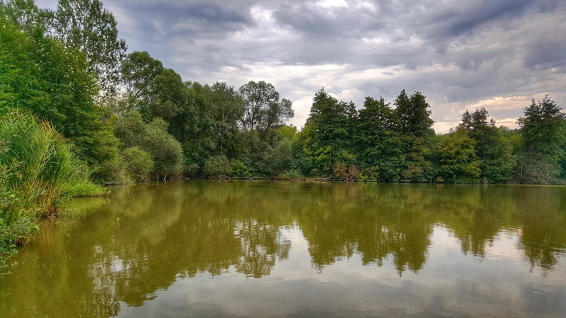 Gardenia Apartman, Esztergom, Hungary