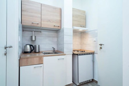 Modern stylish studio at central location, Budapest, Hungary