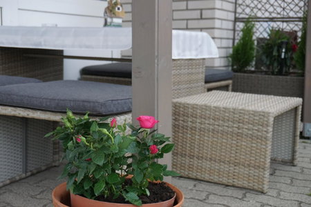 Bérc Apartman, Egerszalók, Hungary
