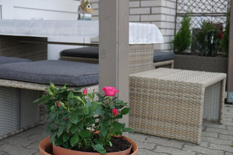 Bérc Apartman, Egerszalók, Hungary
