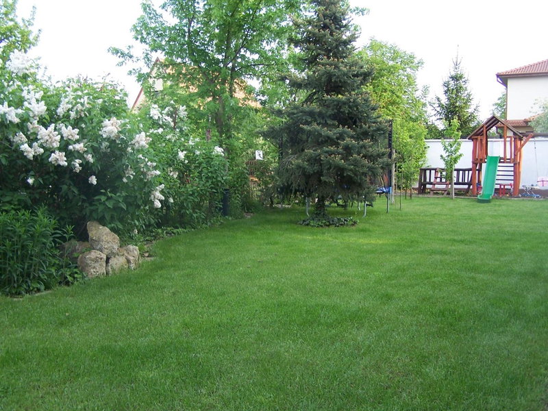 Aliz Apartman, Nyíregyháza, Hungary