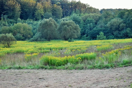 Hétmérföldes Vendégház, Szaknyér, Hungary