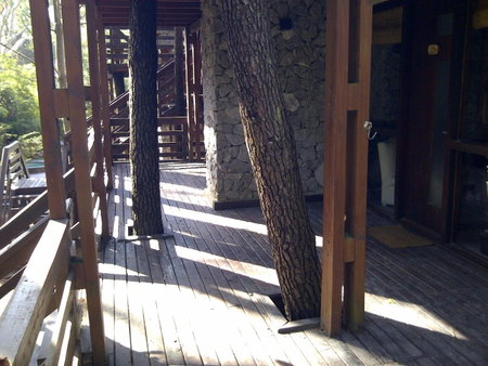 Altos Medanos Cabañas & Club de Bosque, Mar de las Pampas, Argentina