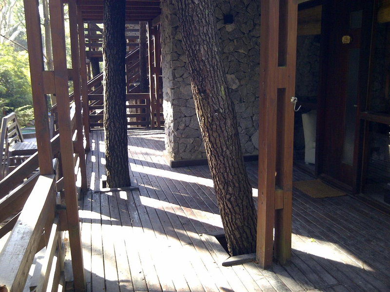Altos Medanos Cabañas & Club de Bosque, Mar de las Pampas, Argentina