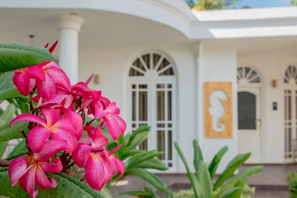 Sea Horse Hotel and Spa, Sri Lanka