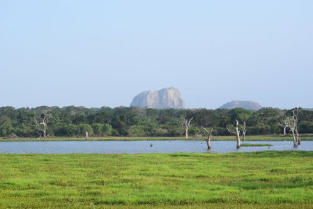 Jetwing Jungle Lodge, A Luxury Reserve, Thissamaharama, Sri Lanka