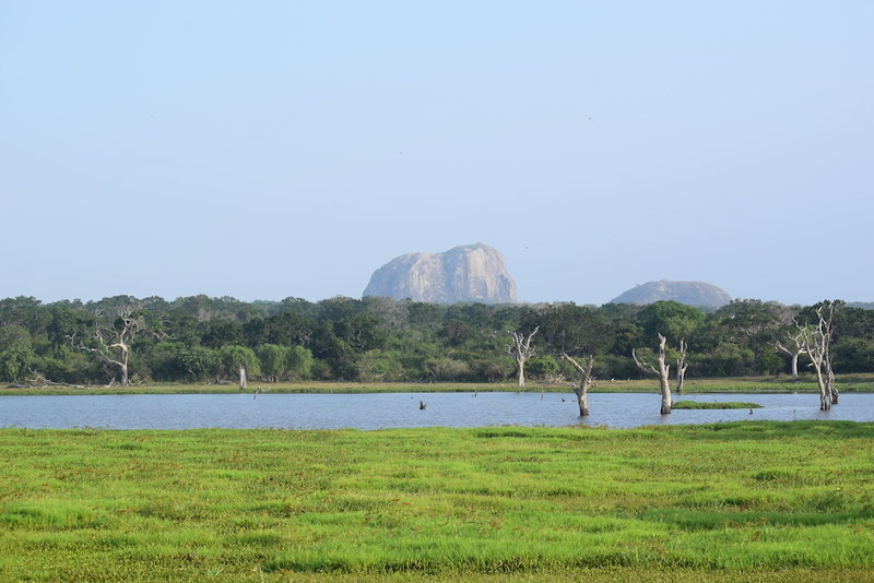 Jetwing Jungle Lodge, A Luxury Reserve, Thissamaharama, Sri Lanka