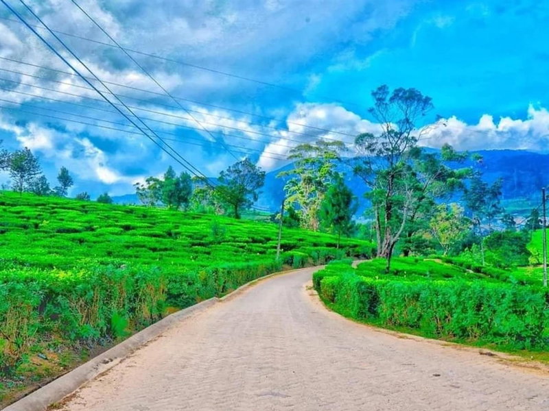 Stoney Croft Cottage, Nuwara Eliya, Sri Lanka