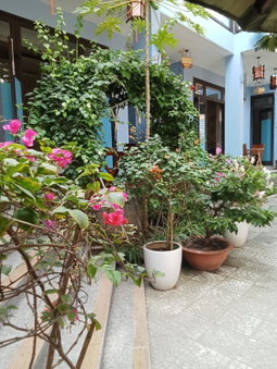 Smart Garden Homestay, Hoi An, Vietnam