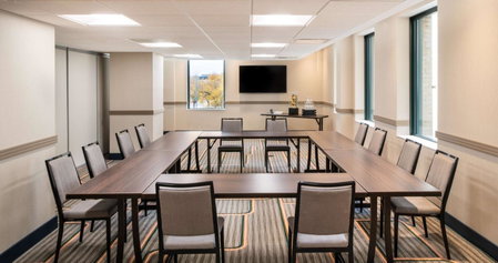Hilton Garden Inn Flint Downtown, Flint, United States