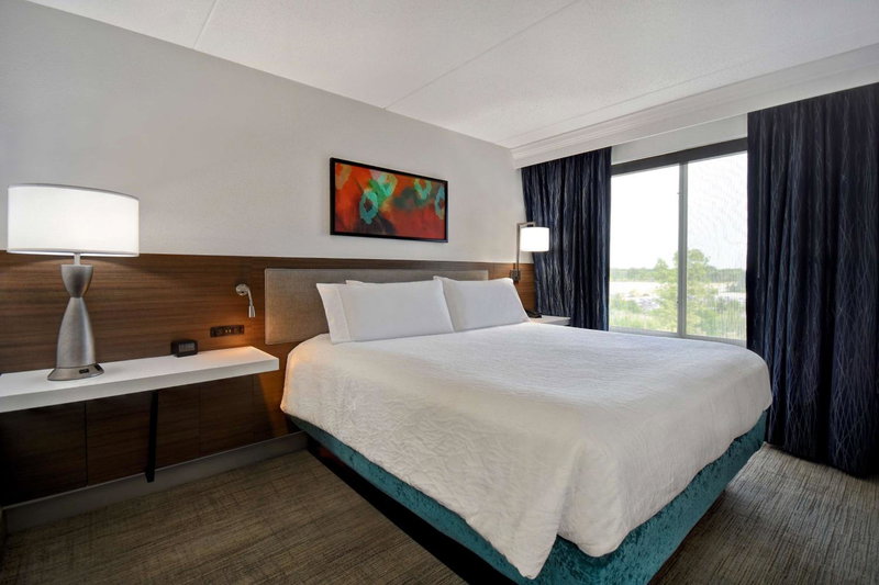 Hilton Garden Inn Detroit Metro Airport, Romulus, United States