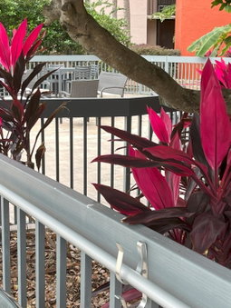 Grand Hotel Orlando at Universal Blvd - Shuttle to Theme Parks, Orlando, United States