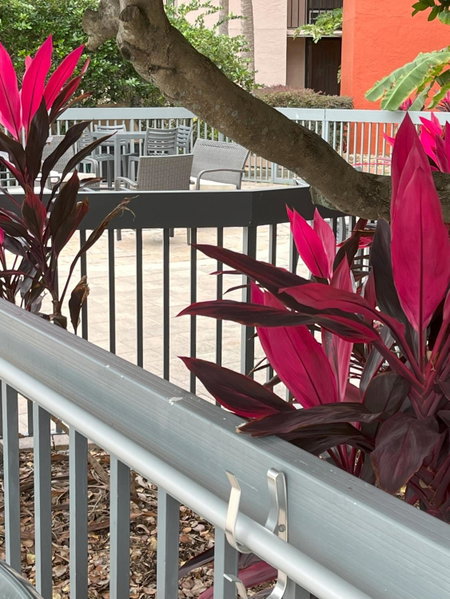 Grand Hotel Orlando at Universal Blvd - Shuttle to Theme Parks, Orlando, United States