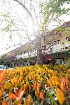 Alamo Inn and Suites - Convention Center, Anaheim, United States
