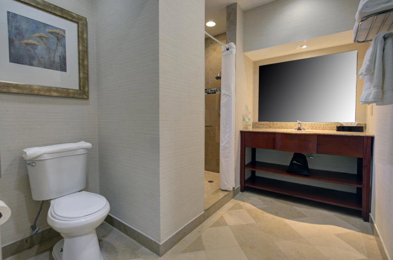 Holiday Inn Plainview-Long Island by IHG, Plainview, United States