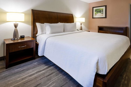 Hilton Garden Inn Roanoke, Roanoke, United States