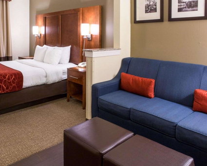 Comfort Suites Newark - Harrison, Newark, United States