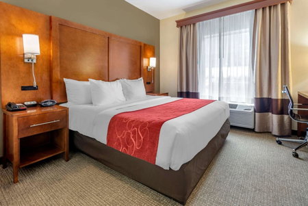 Comfort Suites Newark - Harrison, Newark, United States
