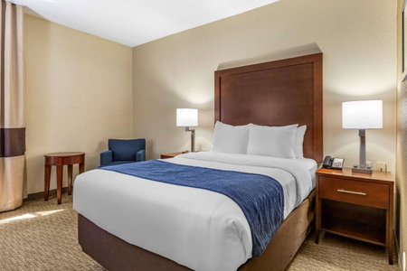 Comfort Inn Near Greenfield Village, Dearborn, United States