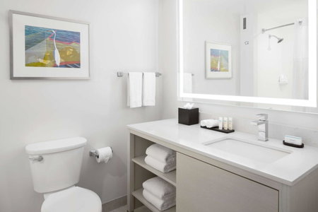 Embassy Suites by Hilton Tampa Airport Westshore, Tampa, United States