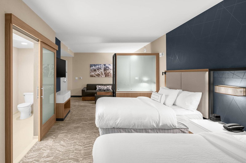 SpringHill Suites by Marriott Jackson, Jackson, United States