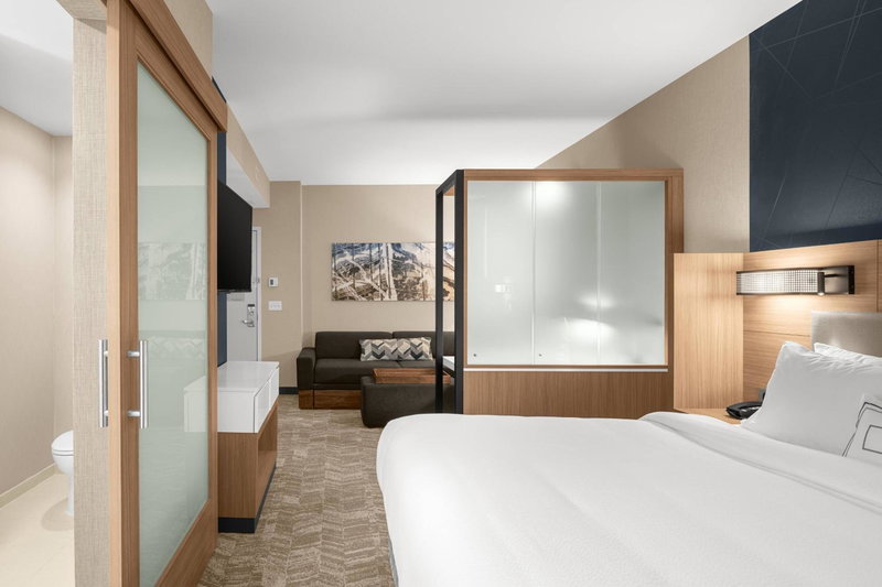 SpringHill Suites by Marriott Jackson, Jackson, United States
