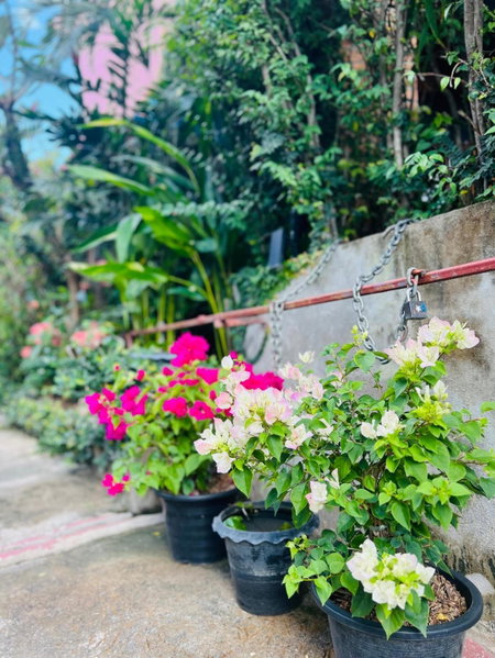 Boutique House Nipha, Chiang Mai, Thailand