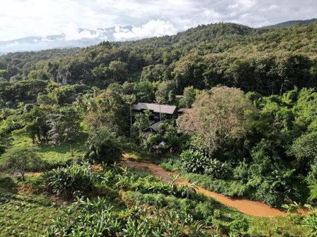 S.House168, Chiang Mai, Thailand