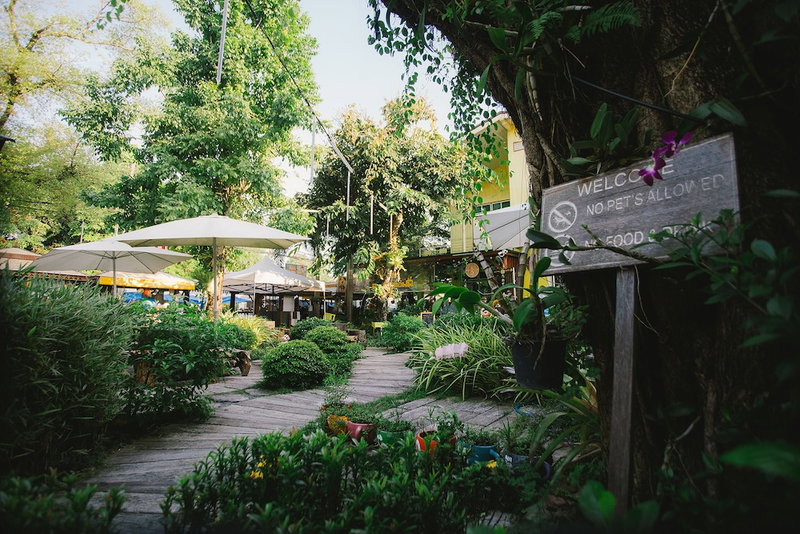 Suan Tung Coffee, Chiang Rai, Thailand