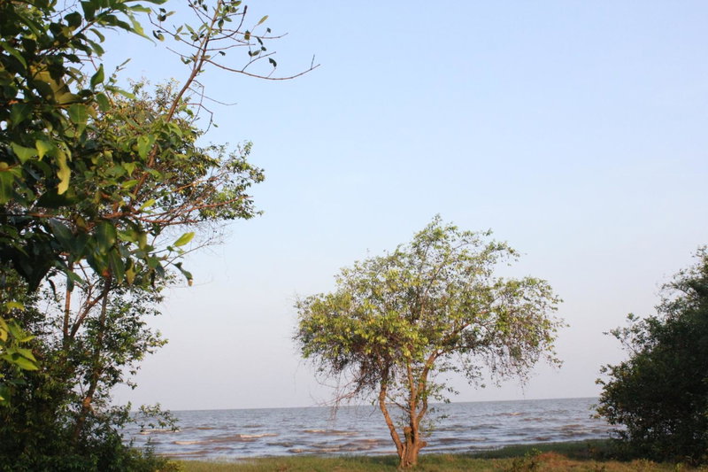 Rimlay Park Resort, Phatthalung, Thailand