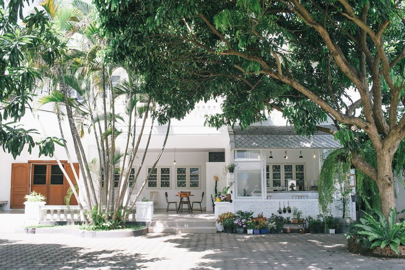 Double Tree House, Chiang Mai, Thailand