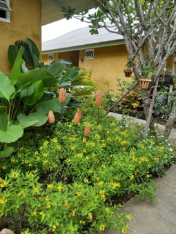 Phoo Na Resort, Chiang Mai, Thailand